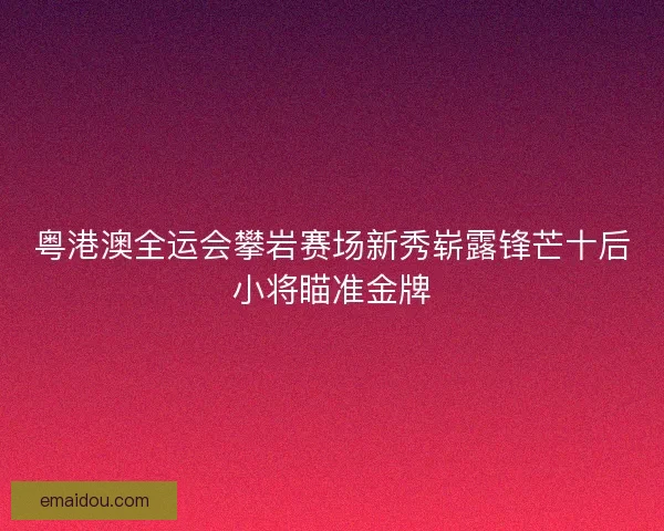 粤港澳全运会攀岩赛场新秀崭露锋芒十后小将瞄准金牌
