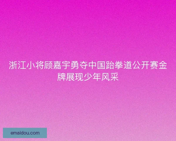 浙江小将顾嘉宇勇夺中国跆拳道公开赛金牌展现少年风采