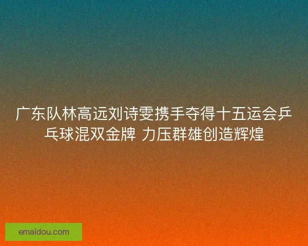 广东队林高远刘诗雯携手夺得十五运会乒乓球混双金牌 力压群雄创造辉煌